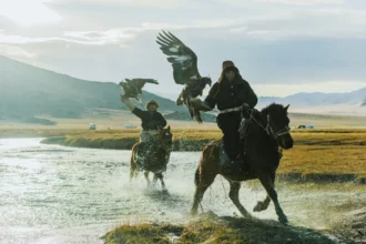 Eagle Encounters Mongolia
